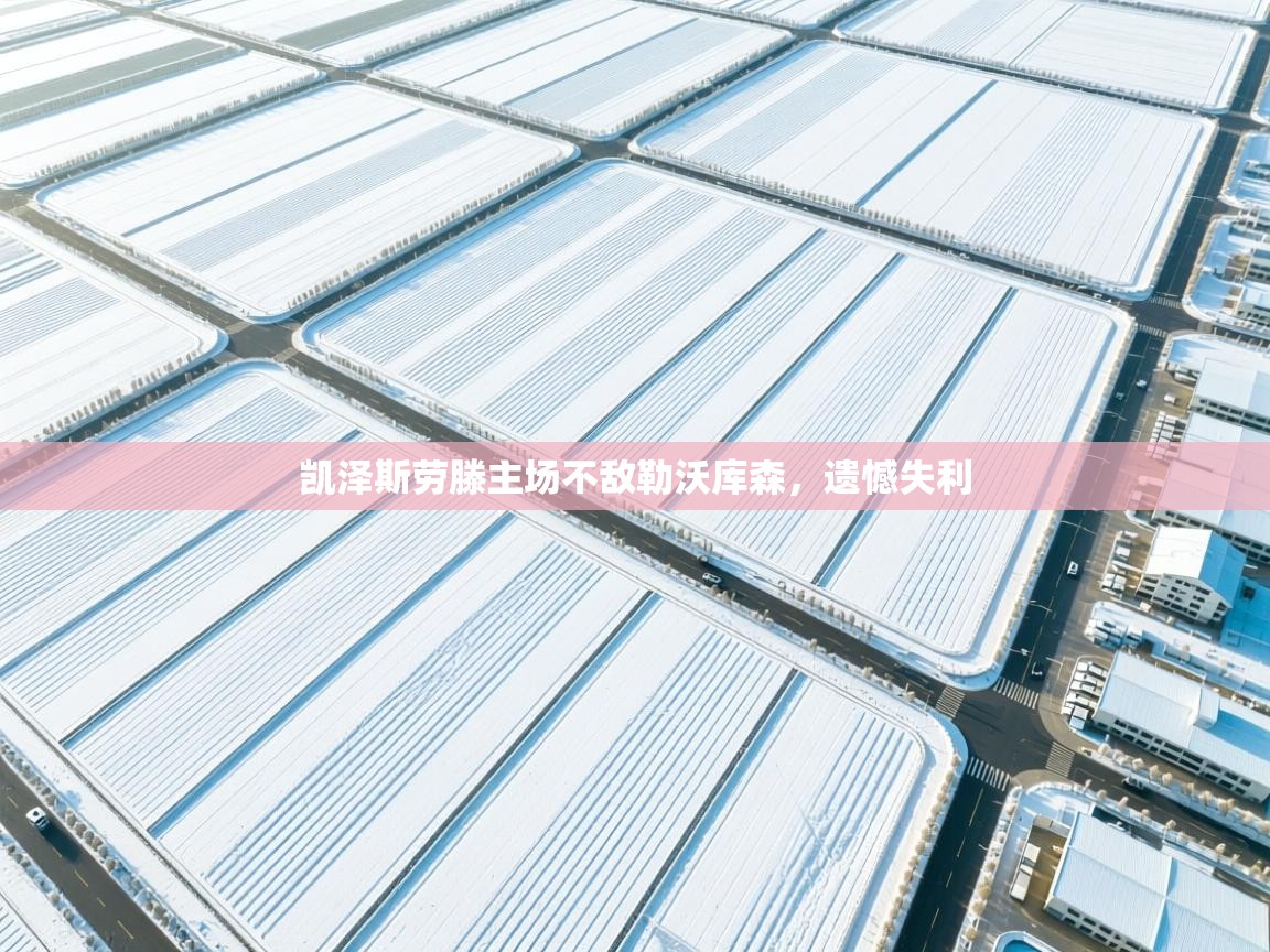 开云体育修改登录密码-凯泽斯劳滕主场不敌勒沃库森,遗憾失利 第2张