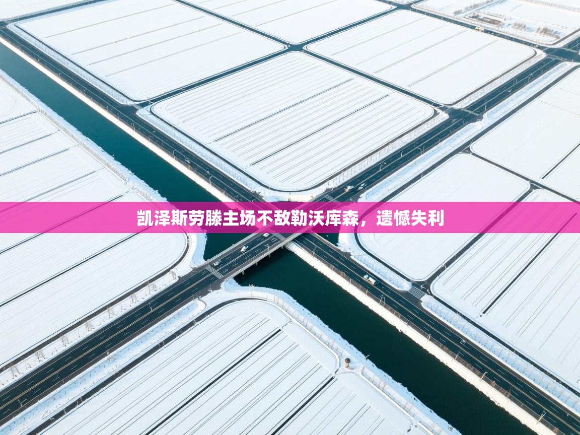 开云体育修改登录密码-凯泽斯劳滕主场不敌勒沃库森,遗憾失利 第3张