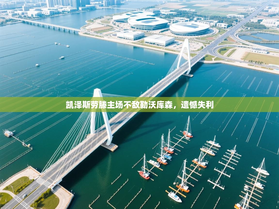 开云体育修改登录密码-凯泽斯劳滕主场不敌勒沃库森,遗憾失利 第4张