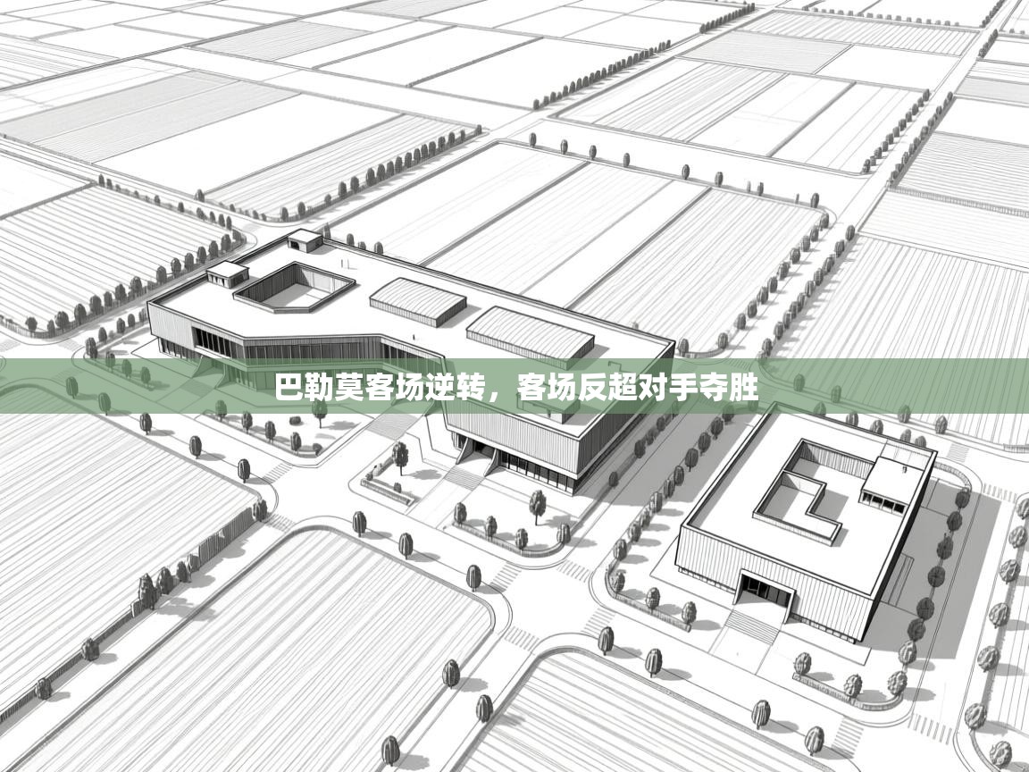 kaiyun-巴勒莫客场逆转，客场反超对手夺胜